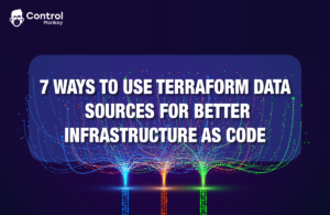 Terraform data sources